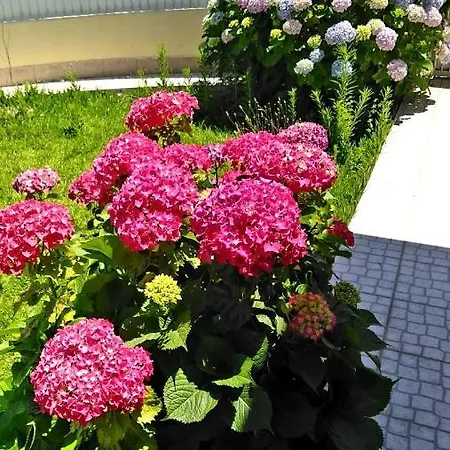 Holiday home Holiday Charneca (Setubal)